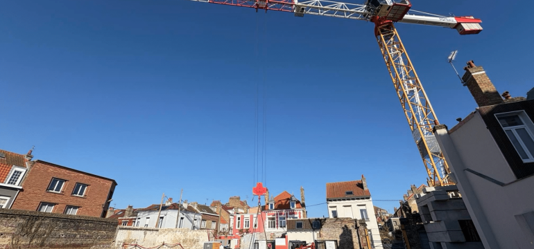 Photo grue 2